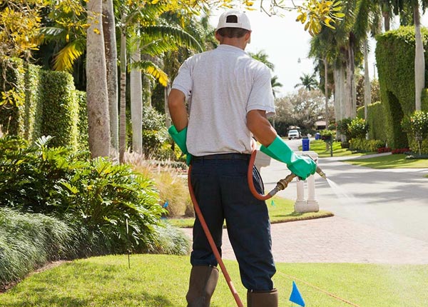 About Bushton KS Pest Control